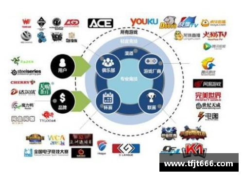 外国体育明星在中国行为中心的深度影响与发展潜力分析