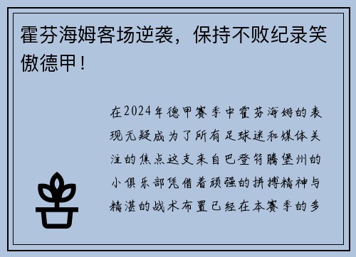 霍芬海姆客场逆袭，保持不败纪录笑傲德甲！